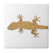 gekko tegeltje (Voorkant)