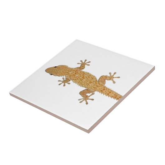gekko tegeltje (Zijkant)