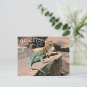 Gekleed hagedis op Rock, Mesa Verde NP, Colorado Briefkaart (Staand voorkant)