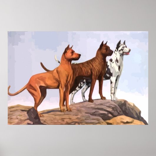gekleurd Great Danes Poster (Voorkant)