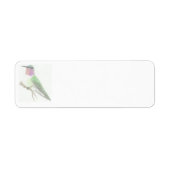 Gekleurd Hummingbird Tekenlabel Etiket (Voorkant)