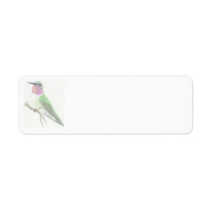Gekleurd Hummingbird Tekenlabel Etiket