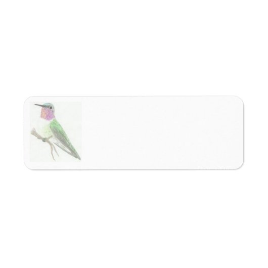 Gekleurd Hummingbird Tekenlabel Etiket (Voorkant)