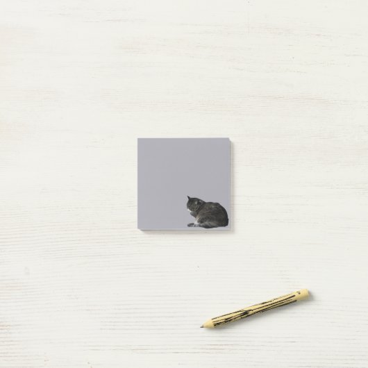 Gekleurd met gestript kattenfototoestel Paars Post-it® Notes (Op bureau)