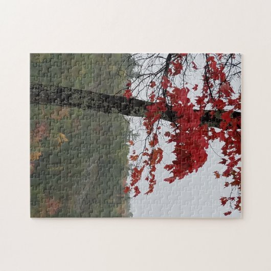 Gekleurde bladeren Het is herfst Legpuzzel (Horizontaal)