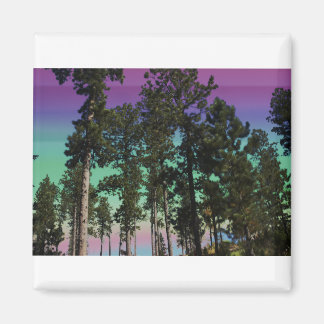 Gekleurde boommagneet magneet