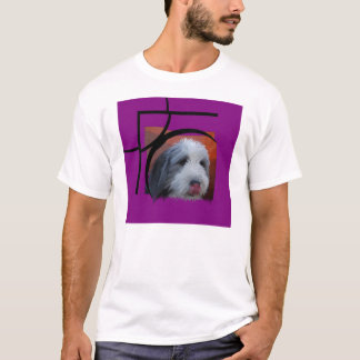 Gekleurde collie met roze t-shirt