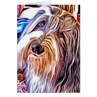 Gekleurde Collie Paincard