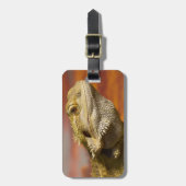 Gekleurde draak (Pogona Vitticeps) op een tak, Bagagelabel (Voorkant verticaal)