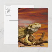 Gekleurde draak (Pogona Vitticeps) op een tak, Briefkaart (Voorkant / Achterkant)