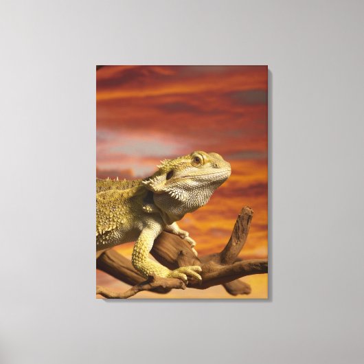 Gekleurde draak (Pogona Vitticeps) op een tak, Canvas Afdruk (Voorkant)