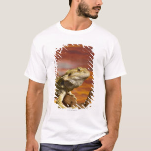 Gekleurde draak (Pogona Vitticeps) op een tak, T-shirt