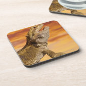 Gekleurde draak (Pogona Vitticeps) op rots, Drankjes Onderzetter (Linkerzijde)