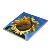 gekleurde grote gele zonnebloem tegen een blauwe h tegeltje (Zijkant)