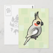 Gekleurde katiel briefkaart (Voorkant / Achterkant)