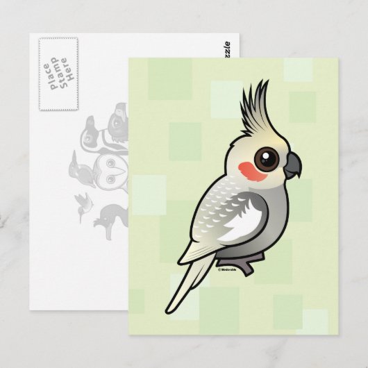 Gekleurde katiel briefkaart (Voorkant / Achterkant)