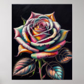 Gekleurde krijttekening van een Roos II Poster (Voorkant)