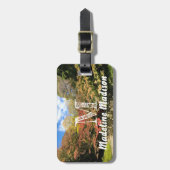 Gekleurde mannetjes bij varkens bagagelabel (Voorkant verticaal)