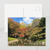 Gekleurde mannetjes bij varkens briefkaart (Voorkant / Achterkant)