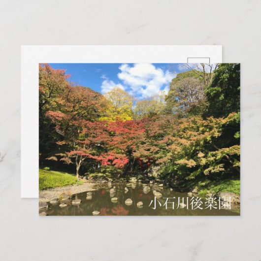 Gekleurde mannetjes bij varkens briefkaart (Voorkant / Achterkant)