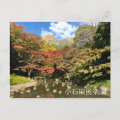 Gekleurde mannetjes bij varkens briefkaart (Voorkant)