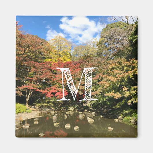 Gekleurde mannetjes bij varkens magneet (Voorkant)