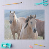 gekleurde paarden tissuepapier (Craft)