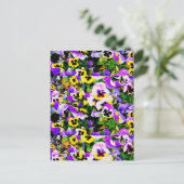 gekleurde pansierbloemen briefkaart (Staand voorkant)
