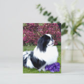 Gekleurde Pekingees Honden Briefkaart (Staand voorkant)