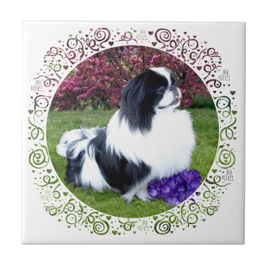 Gekleurde Pekingees Honden Tegeltje (Voorkant)