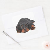 Gekleurde potloodtekening Rottweiler Puppy Eyes Vierkante Sticker (Envelop)