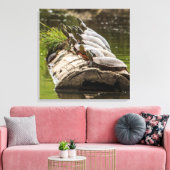 gekleurde schildpadden die zichzelf zonnen in een  canvas afdruk (Insitu (Woonkamer))