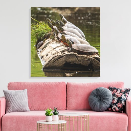 gekleurde schildpadden die zichzelf zonnen in een  canvas afdruk (Insitu (Woonkamer))