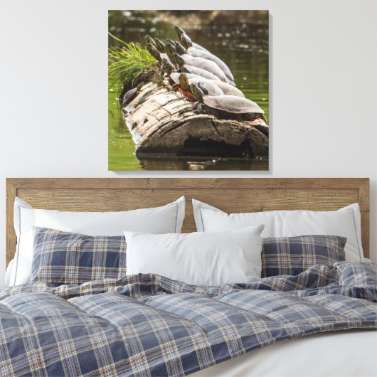 gekleurde schildpadden die zichzelf zonnen in een  canvas afdruk (Insitu (Slaapkamer))