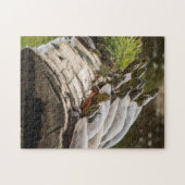 gekleurde schildpadden die zichzelf zonnen in een legpuzzel (Horizontaal)