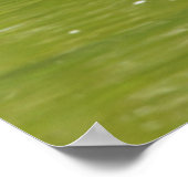 gekleurde schildpadden die zichzelf zonnen in een  poster (Hoek)