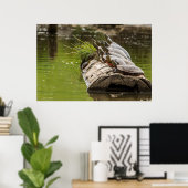 gekleurde schildpadden die zichzelf zonnen in een  poster (Thuiskantoor)