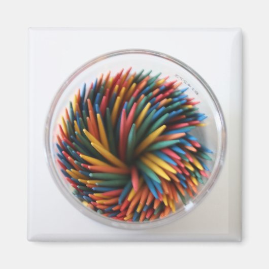 Gekleurde Toothpicks Magnet (Voorkant)