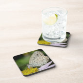 Gekleurde vlinder met scant crème bier onderzetter (Rechterzijde)