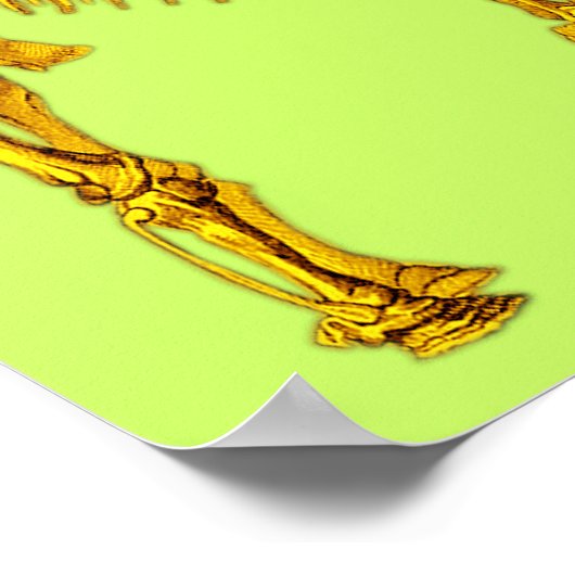 Gekleurde zoogdierskeletten poster (Hoek)