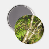 Gekloofde likkerlijmmelaarster magneet (Voorkant / Achterkant)