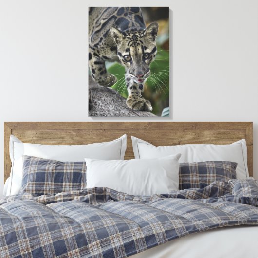 Gekloonde luipaard in beweging canvas afdruk (Insitu (Slaapkamer))