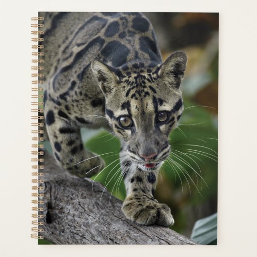 Gekloonde luipaard in beweging planner (Voorkant)