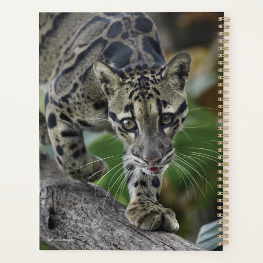 Gekloonde luipaard in beweging planner (Achterkant)