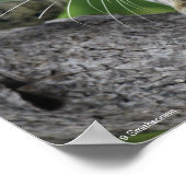 Gekloonde luipaard in beweging poster (Hoek)