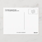 Gekloonde luipaarden briefkaart (Achterkant)