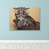 Gekloonde luipde luipkub canvas afdruk (Insitu (Houten vloer))