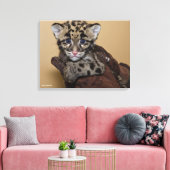 Gekloonde luipde luipkub canvas afdruk (Insitu (Woonkamer))