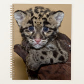 Gekloonde luipde luipkub planner (Voorkant)