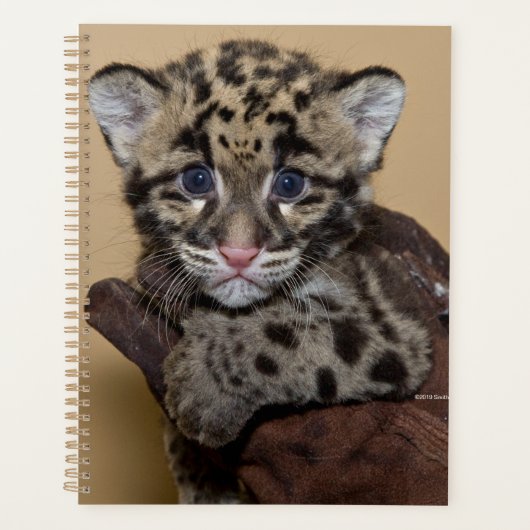Gekloonde luipde luipkub planner (Voorkant)